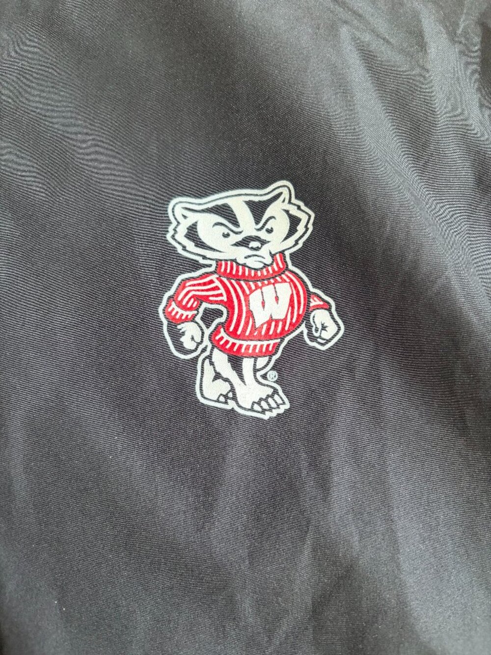 Champion black bucky badger hooded half zip windbreaker